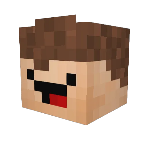 Bas227 Minecraft avatar head, 3D render