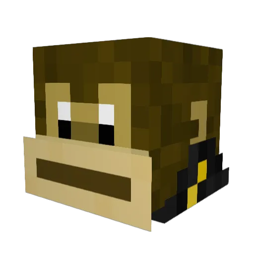 BasBaasBoy Minecraft avatar head, 3D render