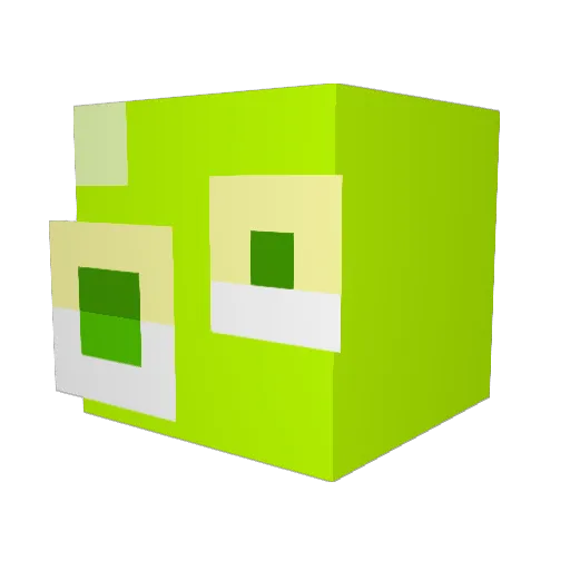 BasComDEeeee Minecraft avatar head, 3D render
