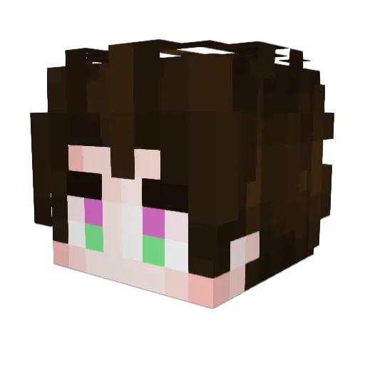 BasKung7417 Minecraft avatar head, 3D render