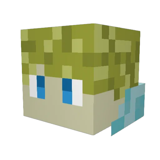 BasPrins2003 Minecraft avatar head, 3D render