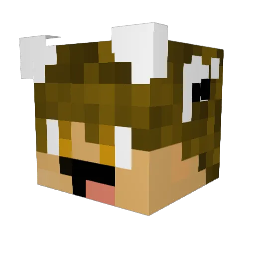 Basajue11 Minecraft avatar head, 3D render
