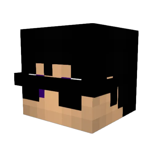 Baschir95 Minecraft avatar head, 3D render