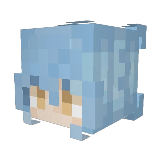 BaseballBoy120 Minecraft avatar head, 3D render