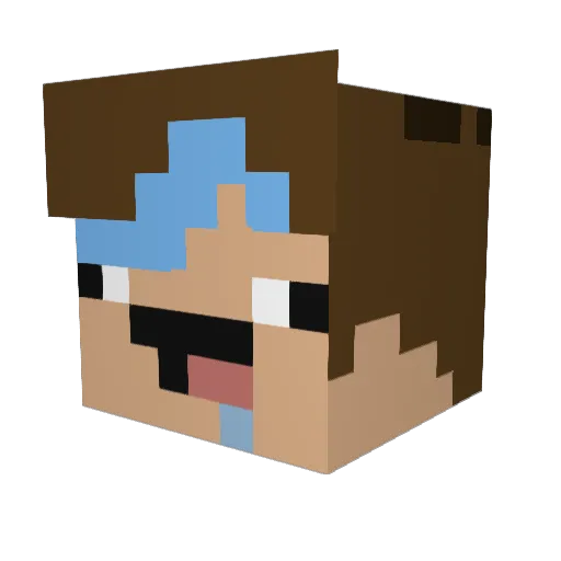 Baseballdog03 Minecraft avatar head, 3D render