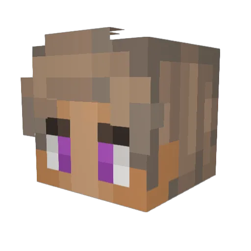 Baseballstar35 Minecraft avatar head, 3D render