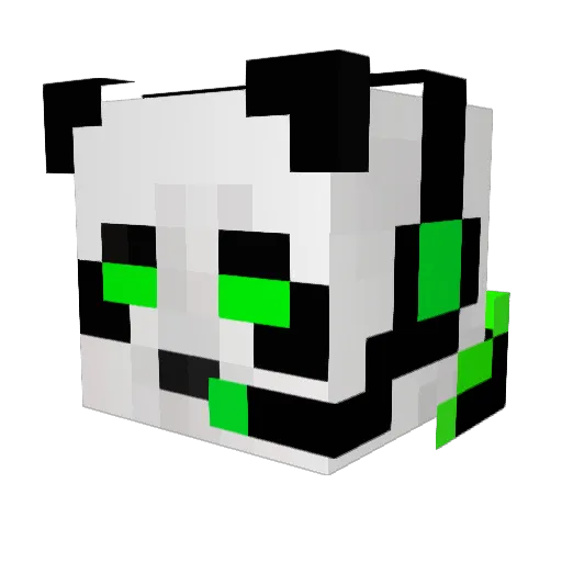 BaseballxBro Minecraft avatar head, 3D render