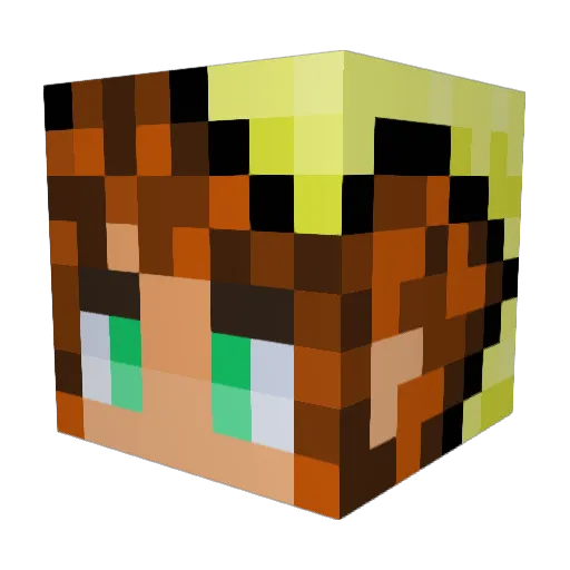 Bash1074 Minecraft avatar head, 3D render