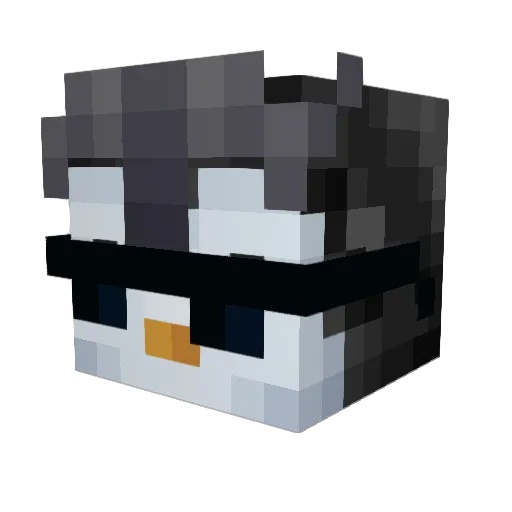 BashScript Minecraft avatar head, 3D render