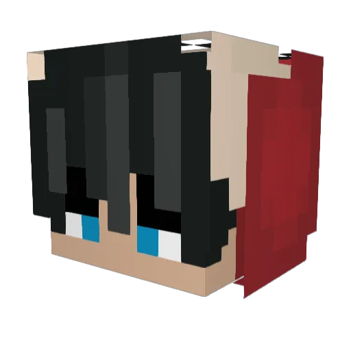 Basha2 Minecraft avatar head, 3D render