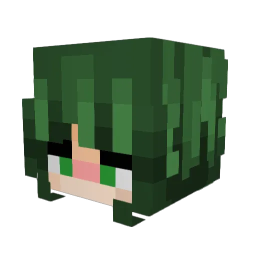 Basha97 Minecraft avatar head, 3D render