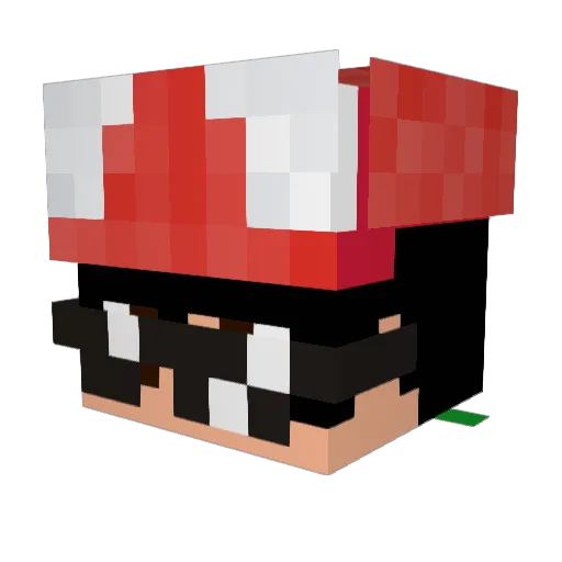 Bashchu Minecraft avatar head, 3D render