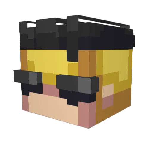 Basher_ Minecraft avatar head, 3D render