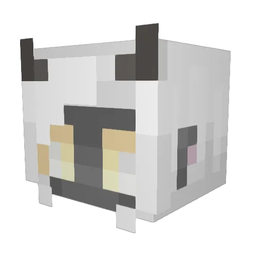 BashfulBoer Minecraft avatar head, 3D render