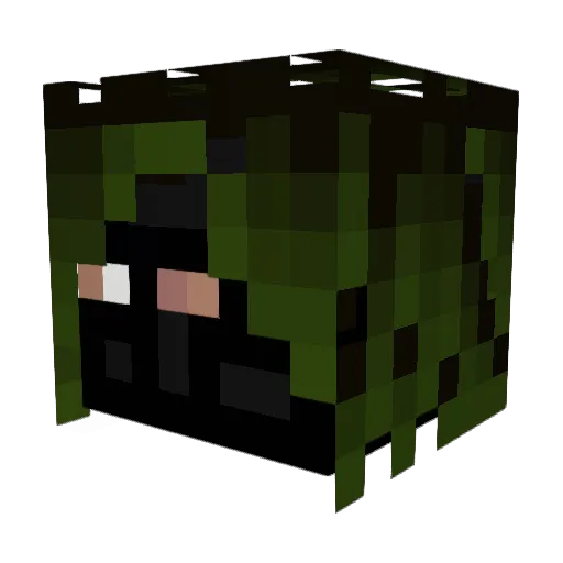 BashfulMonkey Minecraft avatar head, 3D render