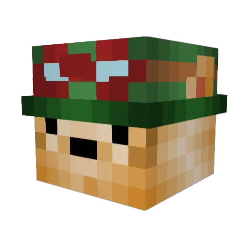 Bashula Minecraft avatar head, 3D render