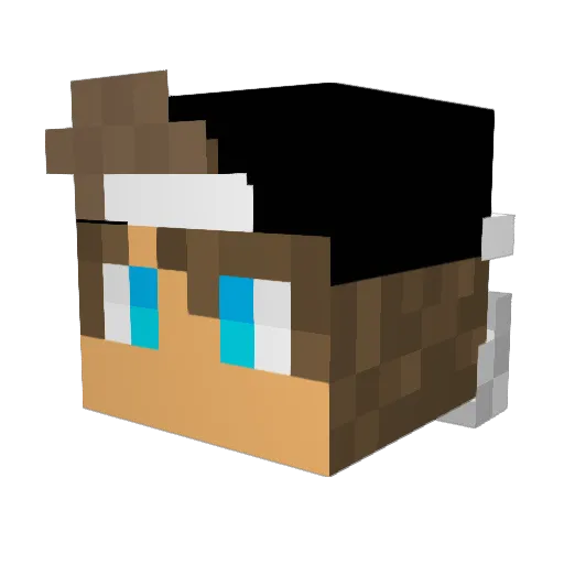BasicDayZ Minecraft avatar head, 3D render