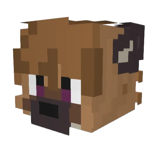 BasicFoox Minecraft avatar head, 3D render