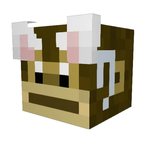 BasicMonkey9407 Minecraft avatar head, 3D render