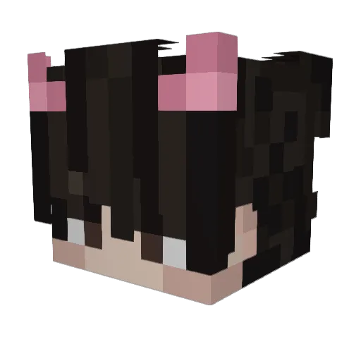 BasicOg_ Minecraft avatar head, 3D render