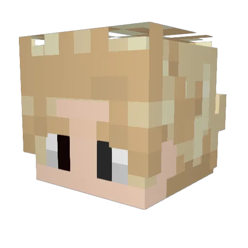 BasicREED Minecraft avatar head, 3D render