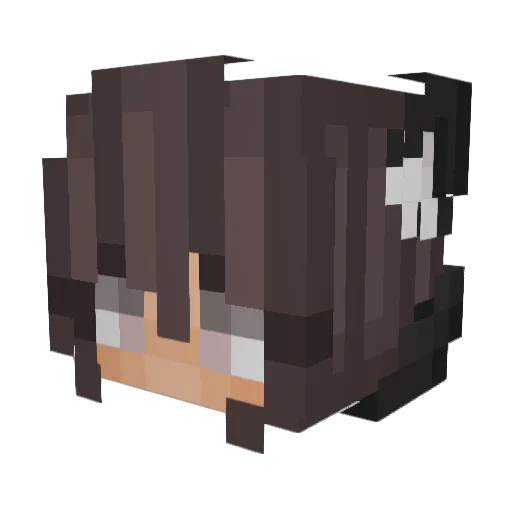 BasicTumblrTrash Minecraft avatar head, 3D render