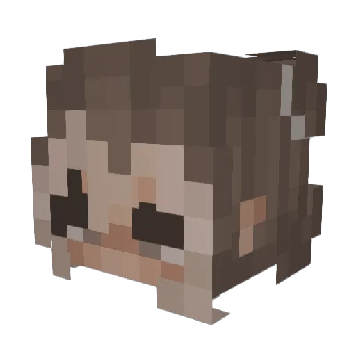 Basic_Adya Minecraft avatar head, 3D render