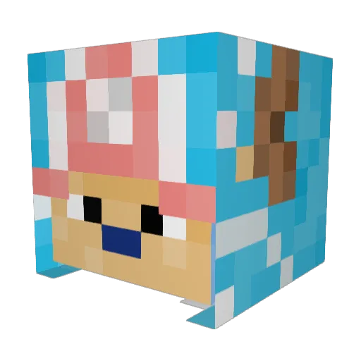 Basic_Luna Minecraft avatar head, 3D render
