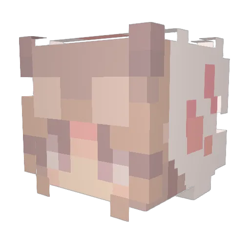 BasiicLiz Minecraft avatar head, 3D render