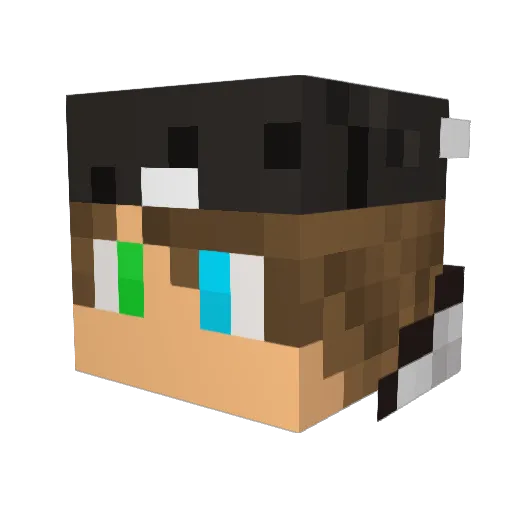 Basiwon Minecraft avatar head, 3D render