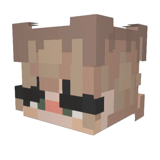 BasketGrace007 Minecraft avatar head, 3D render