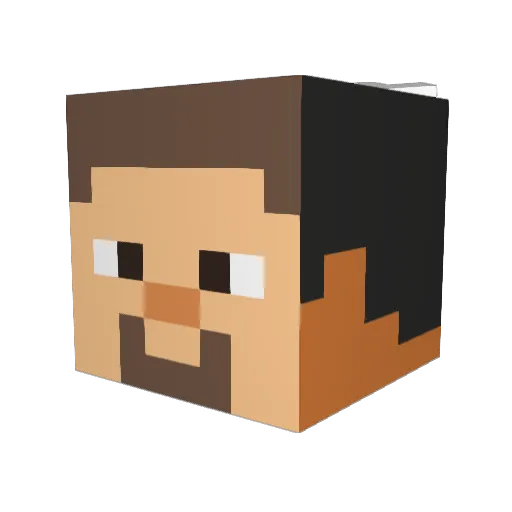 BasketSnow Minecraft avatar head, 3D render