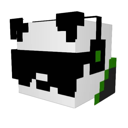 Basketballman23 Minecraft avatar head, 3D render