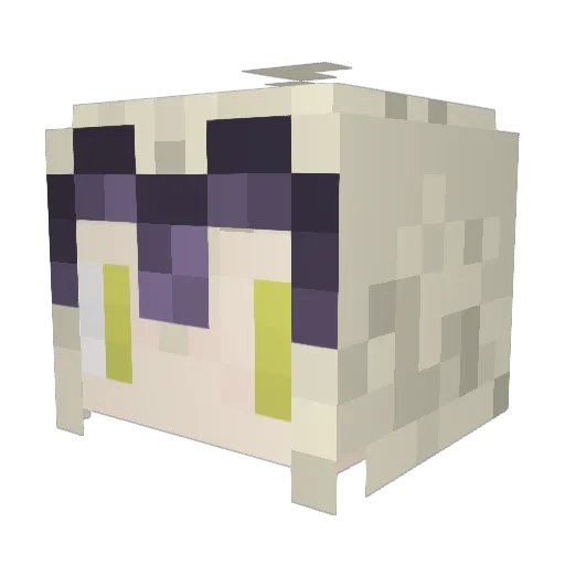 Baskingshark24 Minecraft avatar head, 3D render