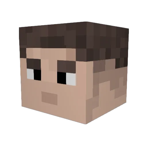 Basment_Fridge Minecraft avatar head, 3D render