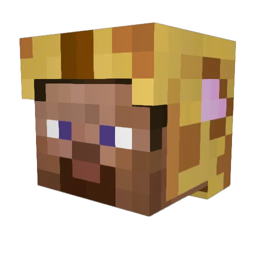 Basquete Minecraft avatar head, 3D render