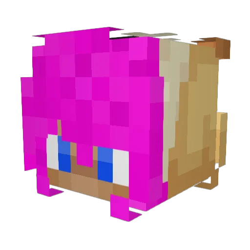 Bass1x Minecraft avatar head, 3D render