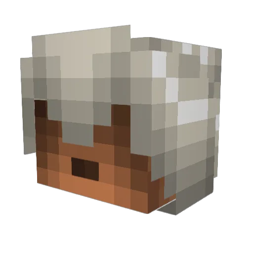Bass95807 Minecraft avatar head, 3D render