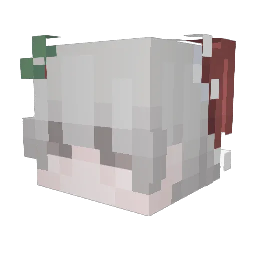 BassBoi Minecraft avatar head, 3D render