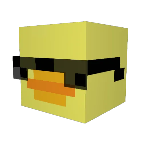 BassDuckling211 Minecraft avatar head, 3D render