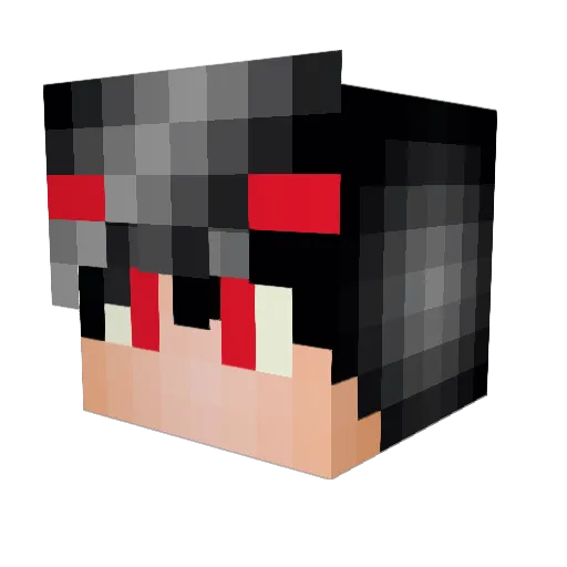 BassXsikh Minecraft avatar head, 3D render