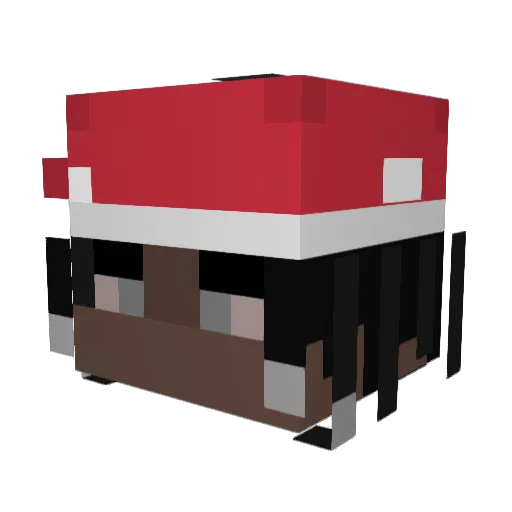 Bassam316 Minecraft avatar head, 3D render