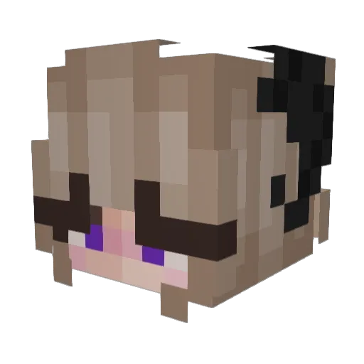 Basse1523 Minecraft avatar head, 3D render