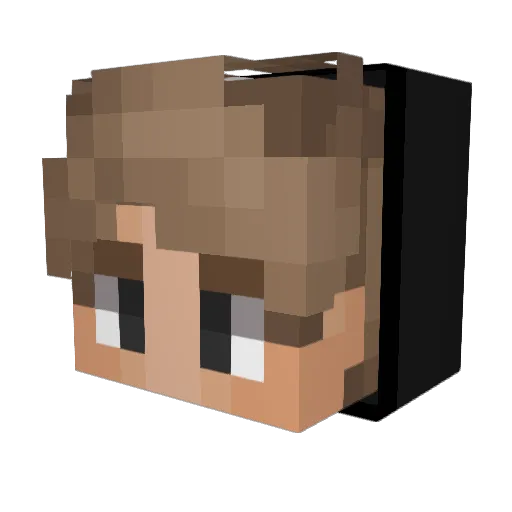 Basse2007 Minecraft avatar head, 3D render