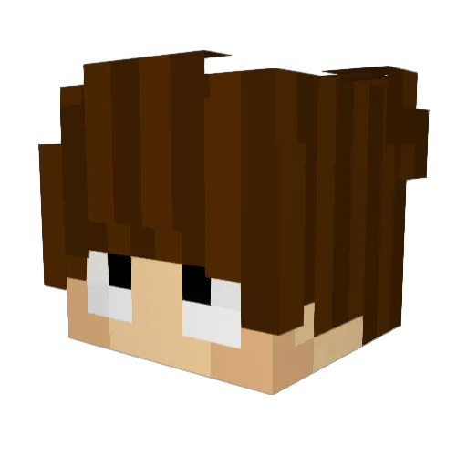 Bassemester Minecraft avatar head, 3D render