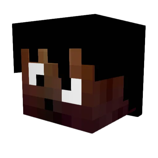 Bassenhp Minecraft avatar head, 3D render