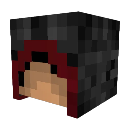 Bassetthound92 Minecraft avatar head, 3D render