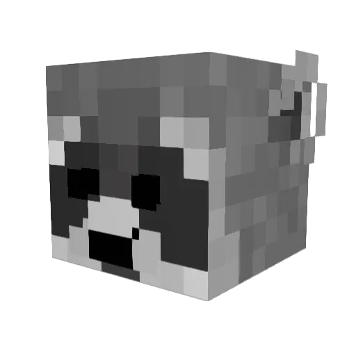 Bassic_Cole Minecraft avatar head, 3D render