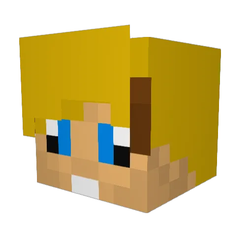 BassieNL Minecraft avatar head, 3D render