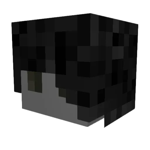Basskills Minecraft avatar head, 3D render